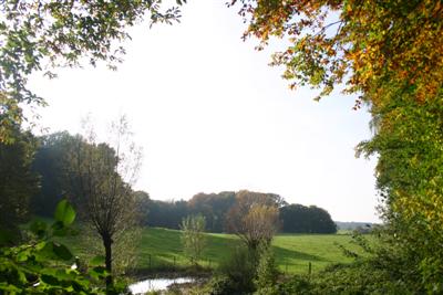 landschap.JPG