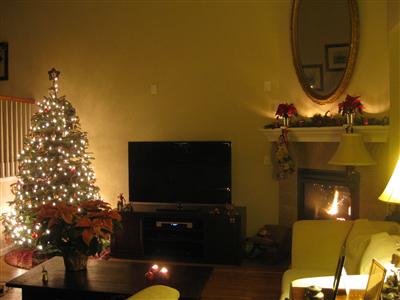 Woonkamer met kerstboom